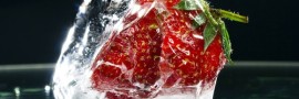 A Origem dos Alimentos Congelados